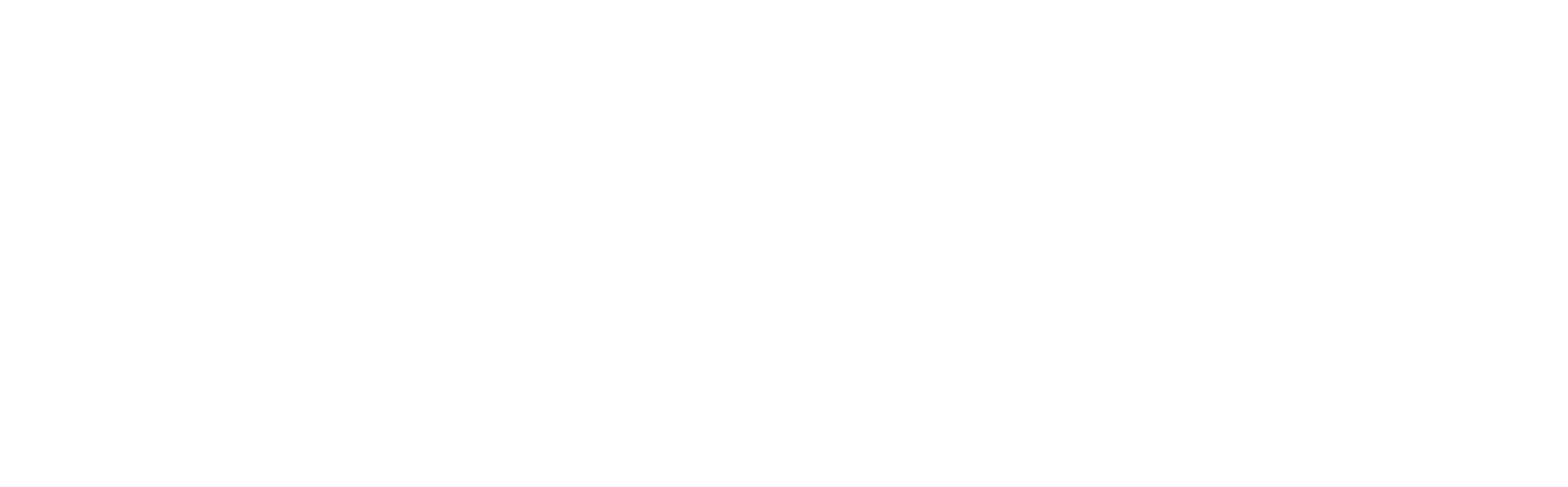 Macro Digital Sales